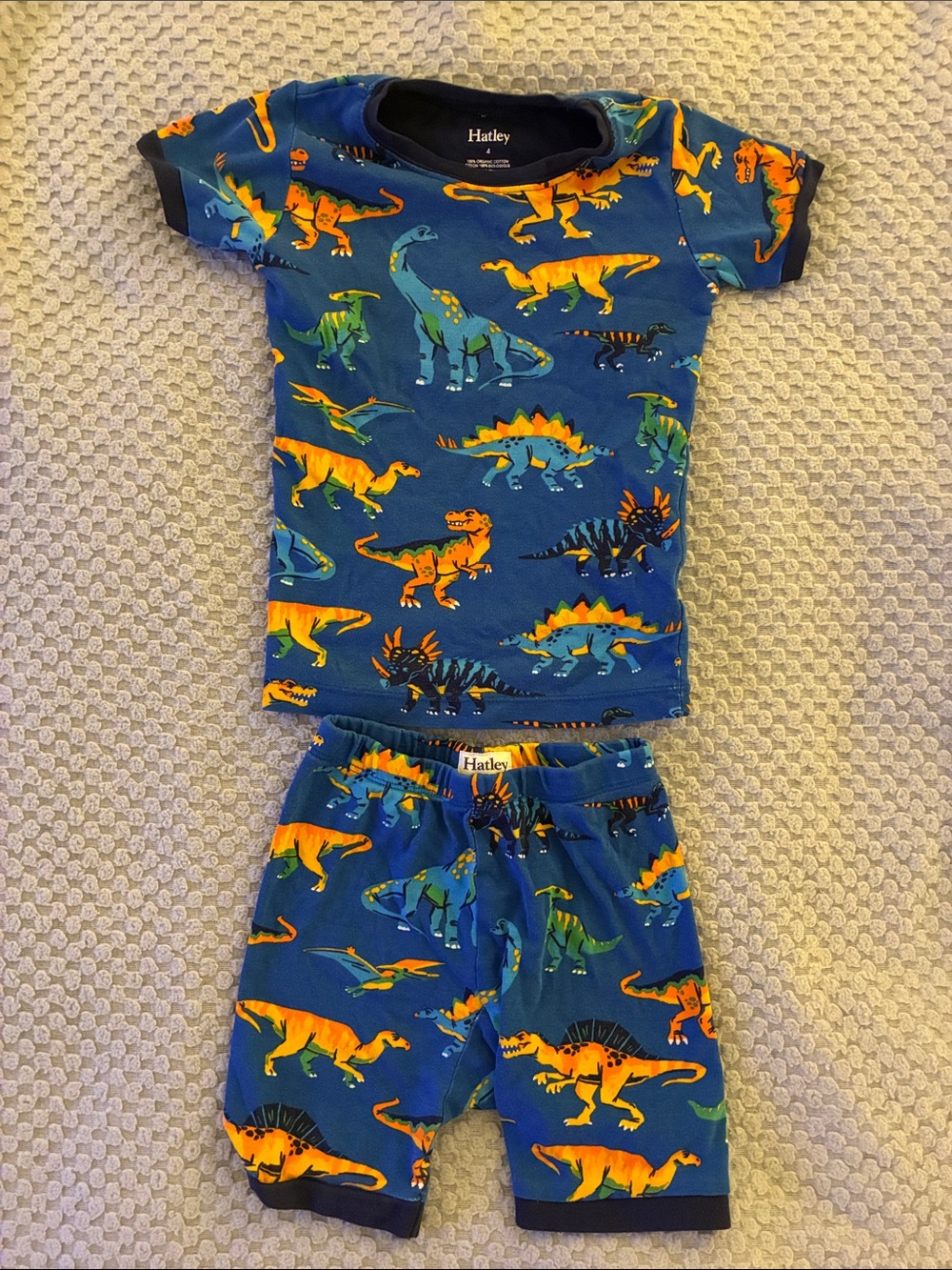 Hatley Blue Dinosaur Print Kids Pajama Set - 4T